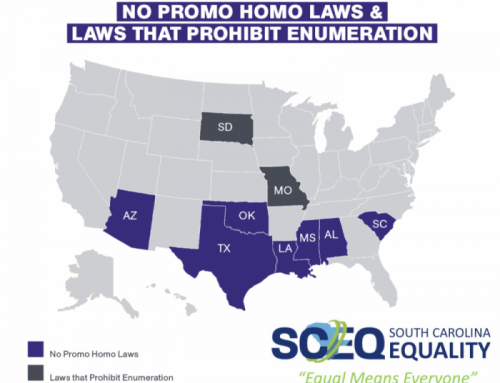 SC Equality to bring a legal challenge to South Carolina’s “No Promo Homo” law